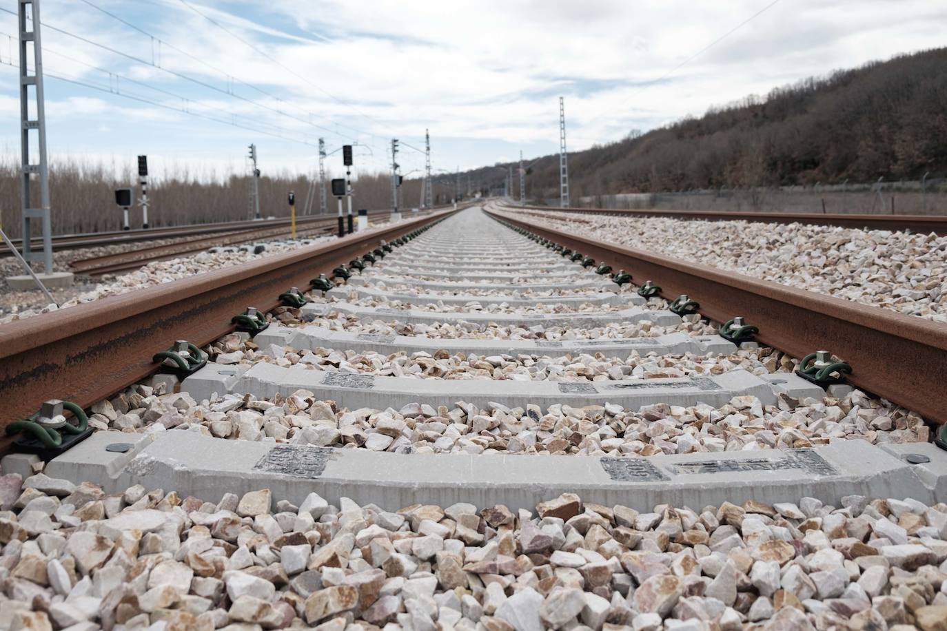 Scroll Story imagen 0