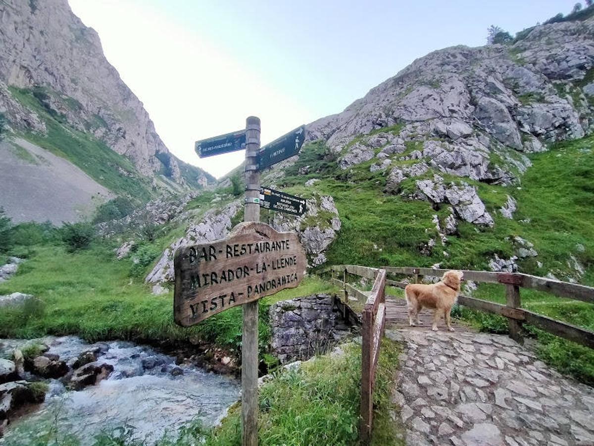 Fotos: Desde Poncebos al Picu Urriellu por la Ruta de la Reconquista