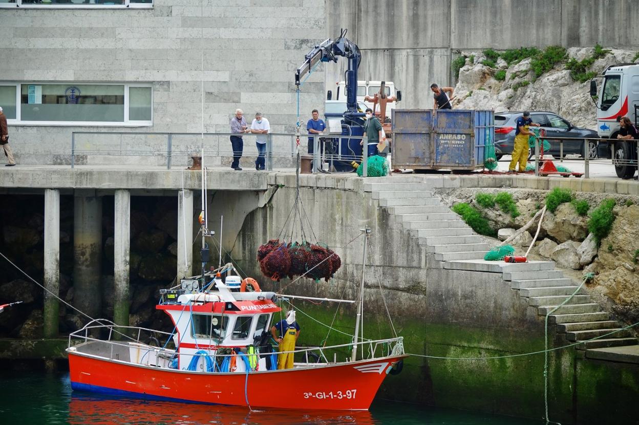 Descarga de fardos repletos de ocle desde el 'Punta Mendía' en el puerto de Llanes. 