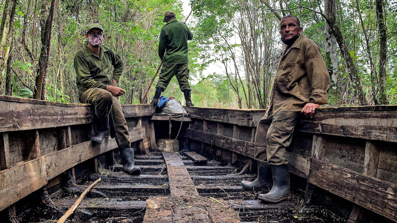 Los campesinos cubanos del Parque Nacional Ciénaga de Zapata, en Cuba, elaboran carbón vegetal con los mismos métodos y utensilios que sus antepasados, pero replantando árboles cortados.