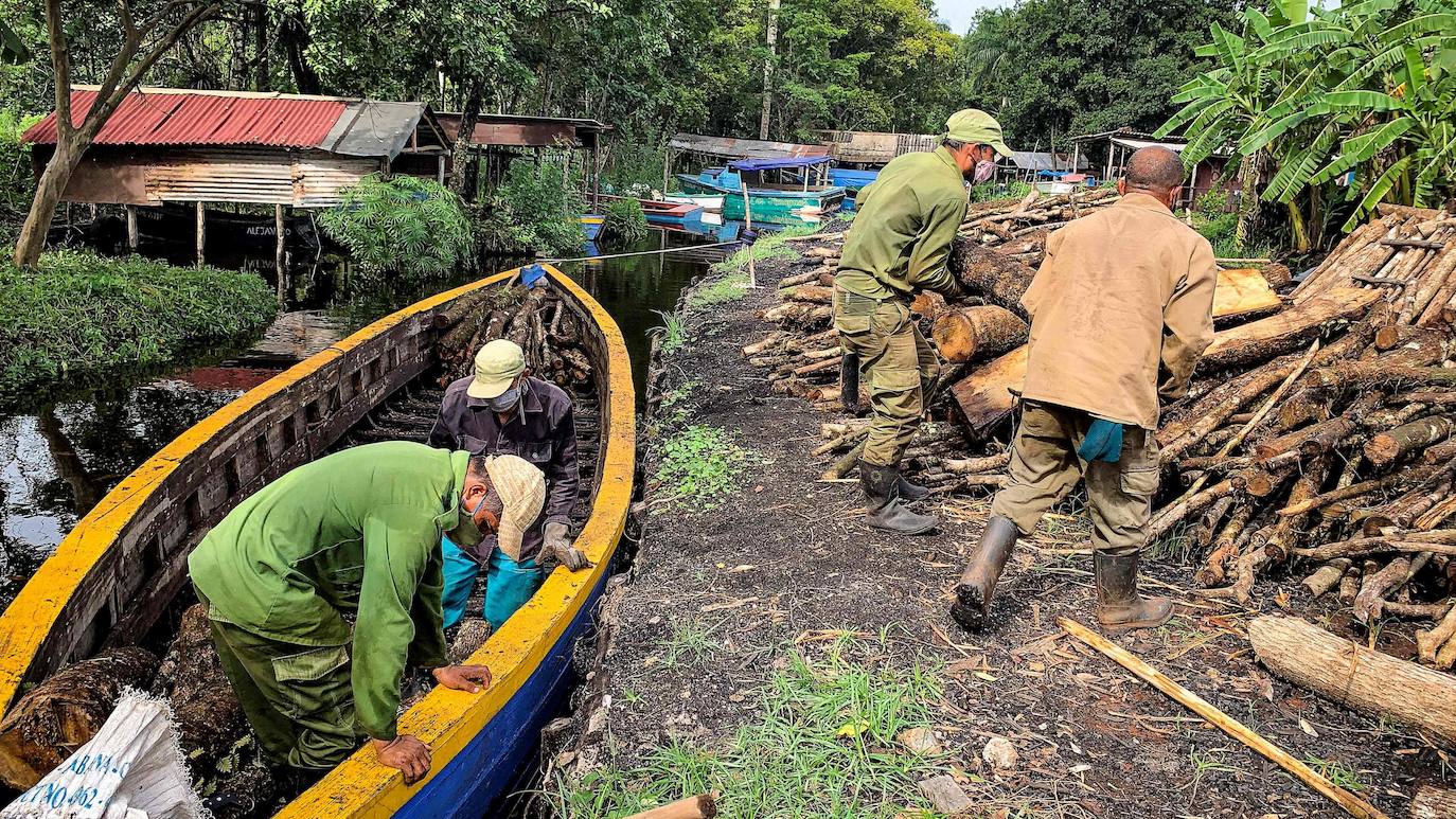 Los campesinos cubanos del Parque Nacional Ciénaga de Zapata, en Cuba, elaboran carbón vegetal con los mismos métodos y utensilios que sus antepasados, pero replantando árboles cortados.