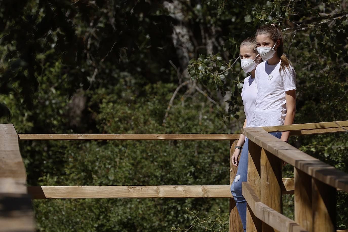 La Princesa Leonor y la Infanta Sofía han participado, sin la compañía de los Reyes, en el acto del Programa Europeo 'Un Árbol por Europa' que pretende concienciar sobre la lucha contra el cambio climático. Las dos hermanas han recorrido el hayedo de Montejo en Madrid, donde han plantado varios árboles en su primera jornada en solitario.