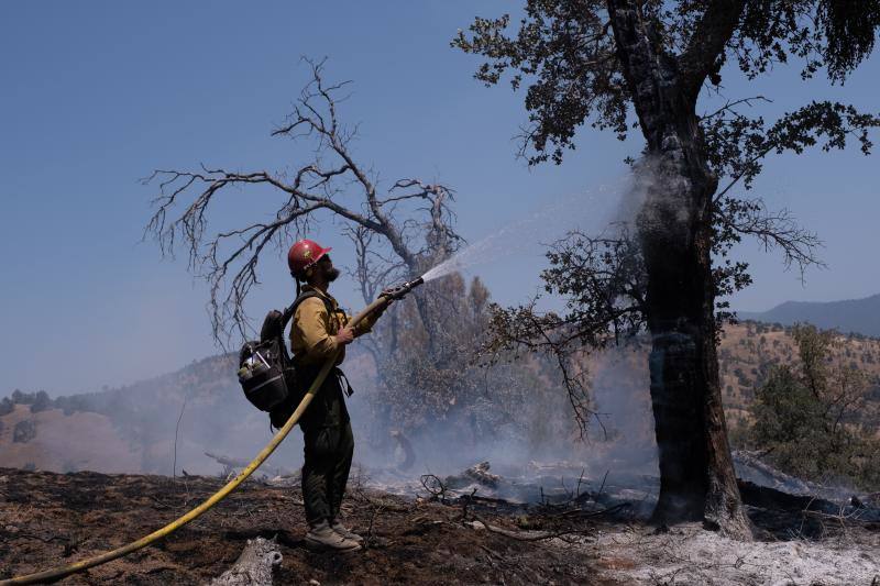 Los bomberos y los equipos de limpieza de California luchan contra los estragos que ha dejado el último incendio en el condado de Mariposa. Las altas temperaturas de la región están dificultando la extinción del fuego, que ya lleva más de 3.200 hectáreas calcinadas