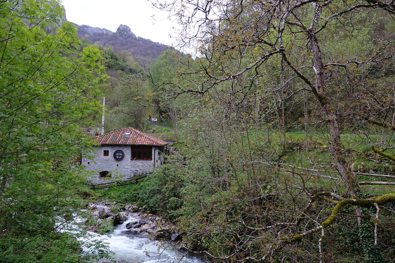 Fotos: Ponga lucha contra el despoblamiento