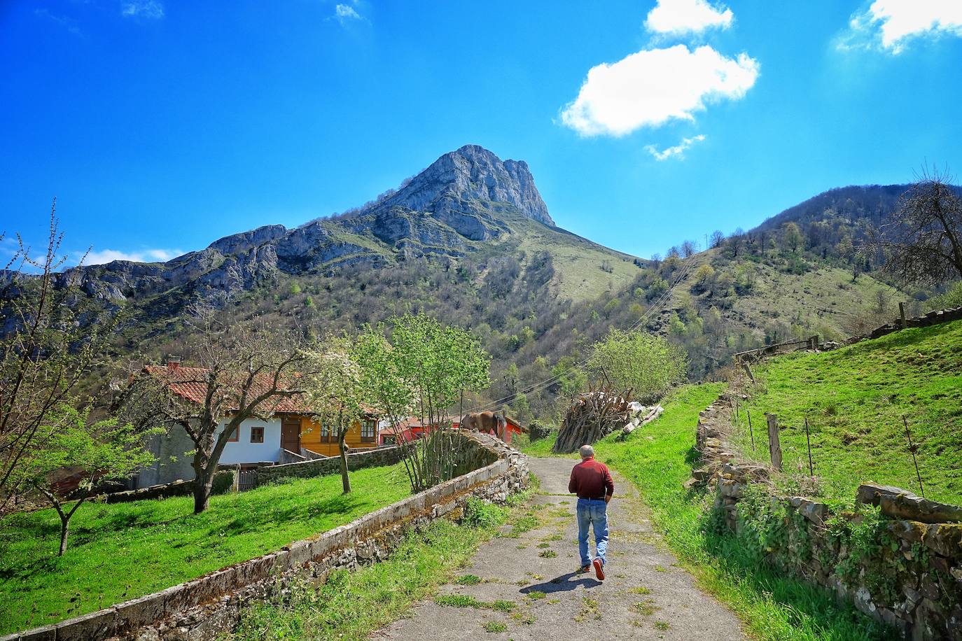 Fotos: Ponga lucha contra el despoblamiento