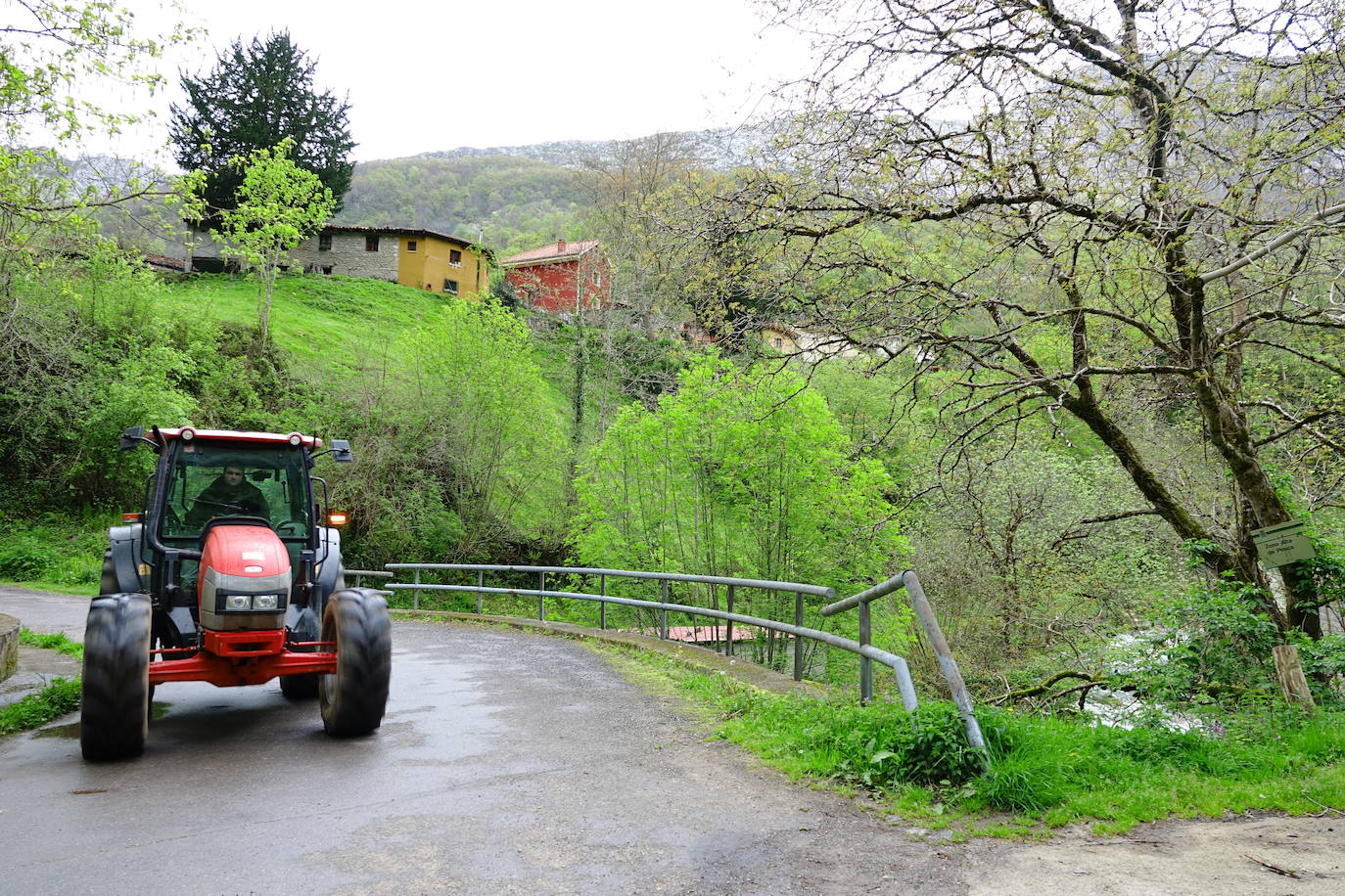 Fotos: Ponga lucha contra el despoblamiento