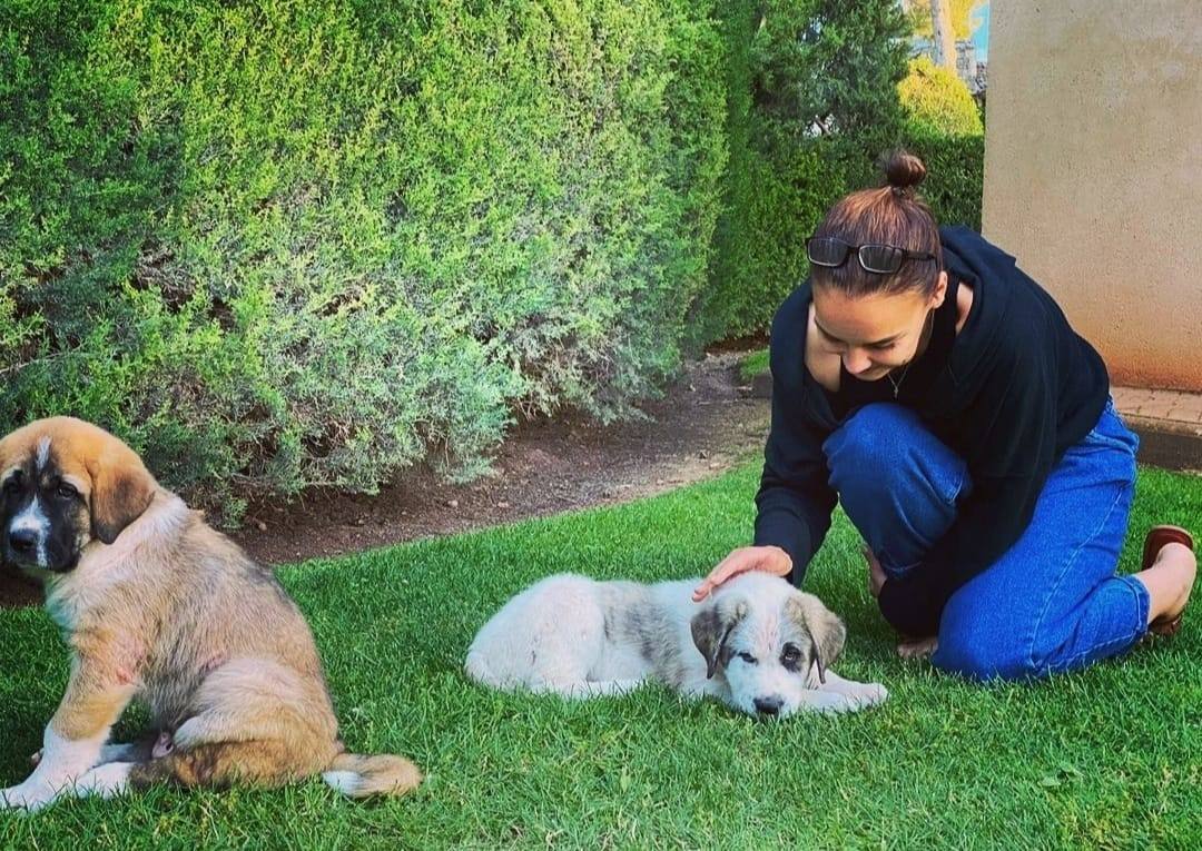 La cantante Chenoa junto a sus amigos perrunos.