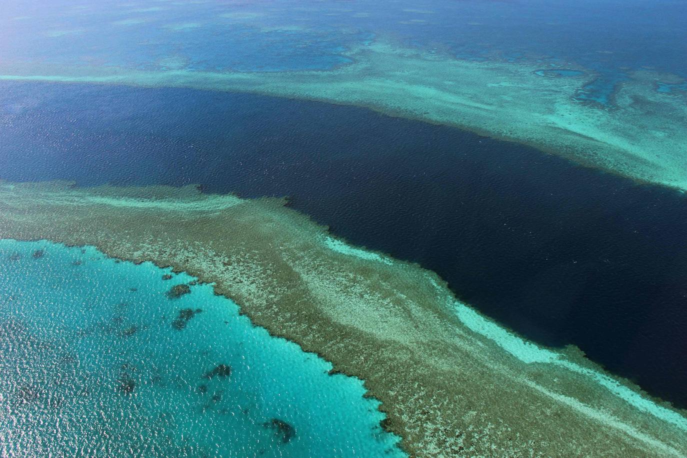 La Gran Barrera de Coral evita su inclusión en la lista del patrimonio mundial «en peligro» de la Unesco. El arrecife, que es Patrimonio Mundial desde 1981, preocupa a Naciones Unidas por el deterioro de su ecosistema debido al cambio climático. Desde el Instituto Australiano de Ciencia Marina aseguran, sin embargo, que los corales están actualmente en «una ventana de recuperación» tras una década de deterioro por las altas temperaturas del agua y los ciclones.