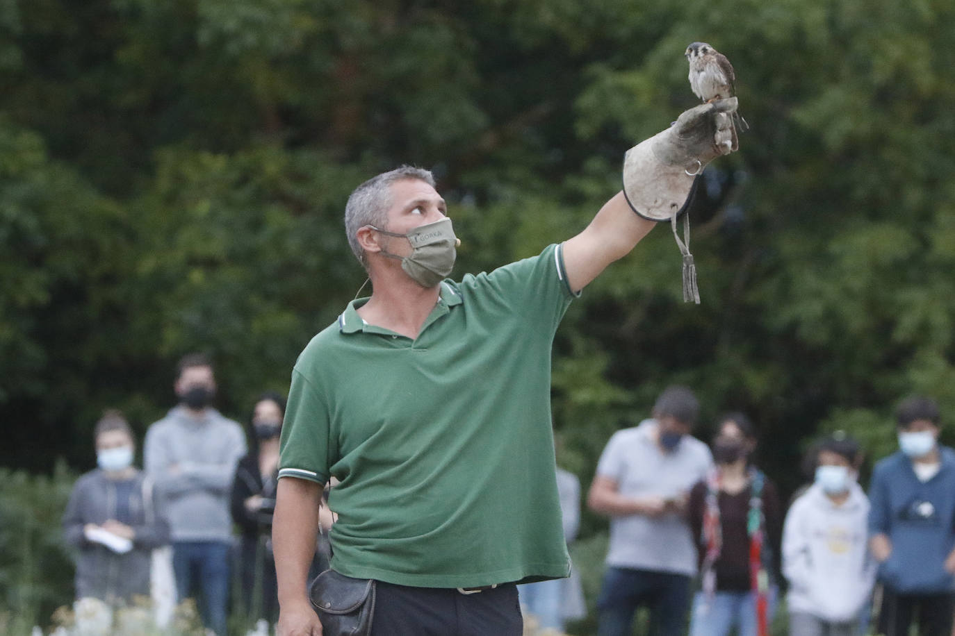 Anoche tuvo lugar la primersa sesión de Nocturnia, donde las aves rapaces ofrecieron una visita guiada a los turistas, además de una velada informativa donde los distintos búhos del grupo Aviar brillaron con luz propia bajo la atenta mirada de los espectadores. Además, durante la velada los asistentes tuvieron la ocasión de aprende run poco más sobre las costumbres y hábitos de las aves rapaces, así como los motivos por los que estas se encuentran en riesgo de extinción debido a la acción humana y el cambio climático. Una noche mágica que enseña la importancia del medioambiente.