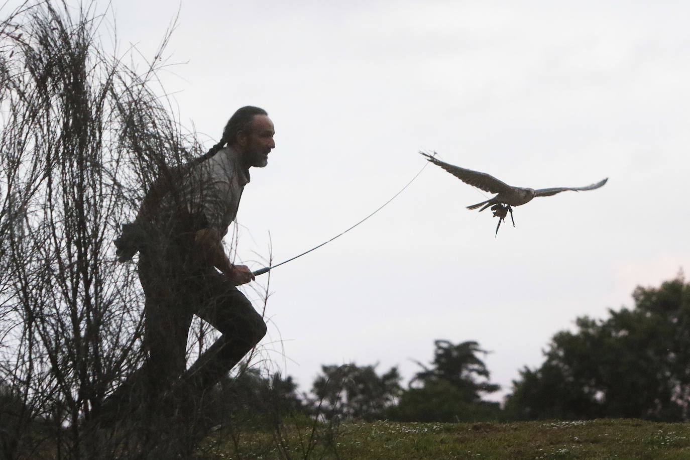 Anoche tuvo lugar la primersa sesión de Nocturnia, donde las aves rapaces ofrecieron una visita guiada a los turistas, además de una velada informativa donde los distintos búhos del grupo Aviar brillaron con luz propia bajo la atenta mirada de los espectadores. Además, durante la velada los asistentes tuvieron la ocasión de aprende run poco más sobre las costumbres y hábitos de las aves rapaces, así como los motivos por los que estas se encuentran en riesgo de extinción debido a la acción humana y el cambio climático. Una noche mágica que enseña la importancia del medioambiente.