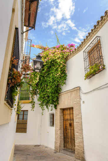 Grazalema (Cádiz).