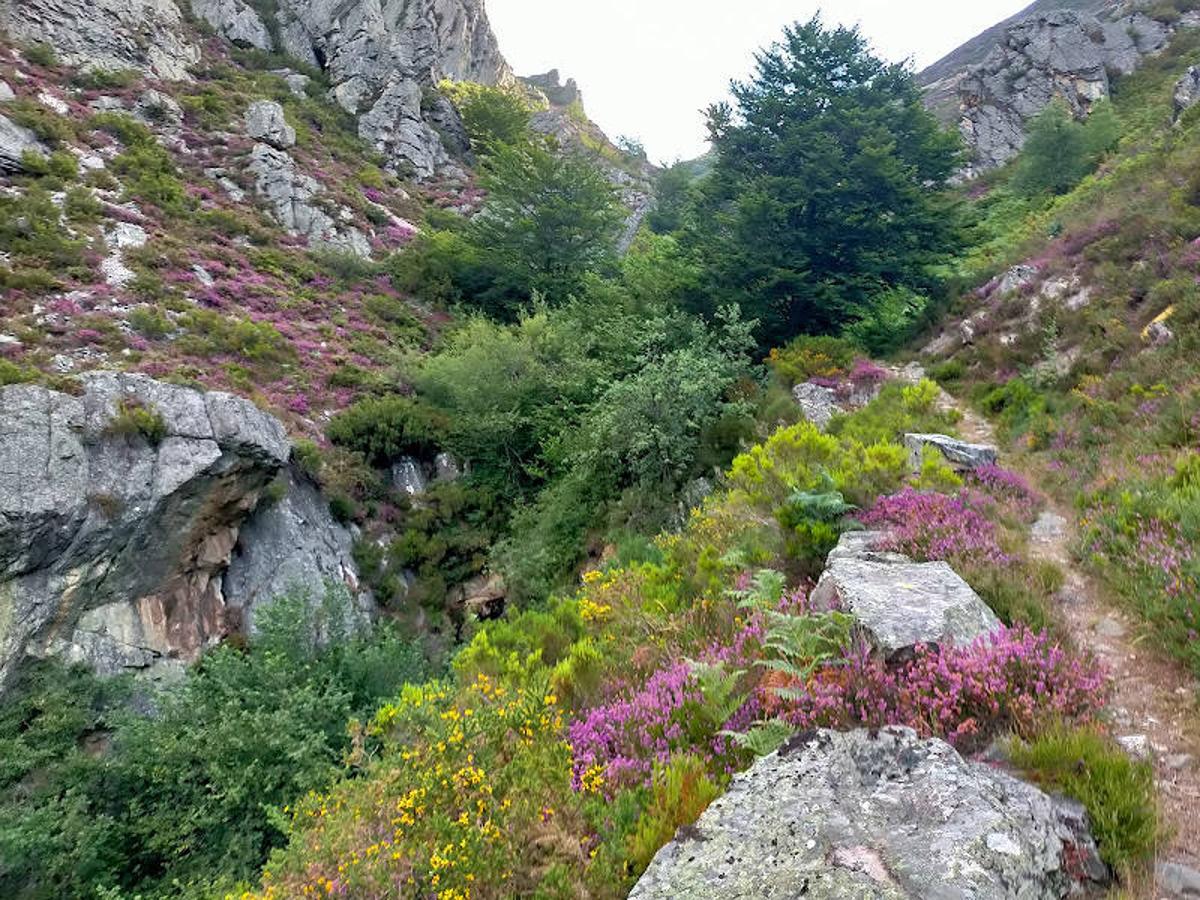 Fotos: Ruta de las Brañas de Felechosa