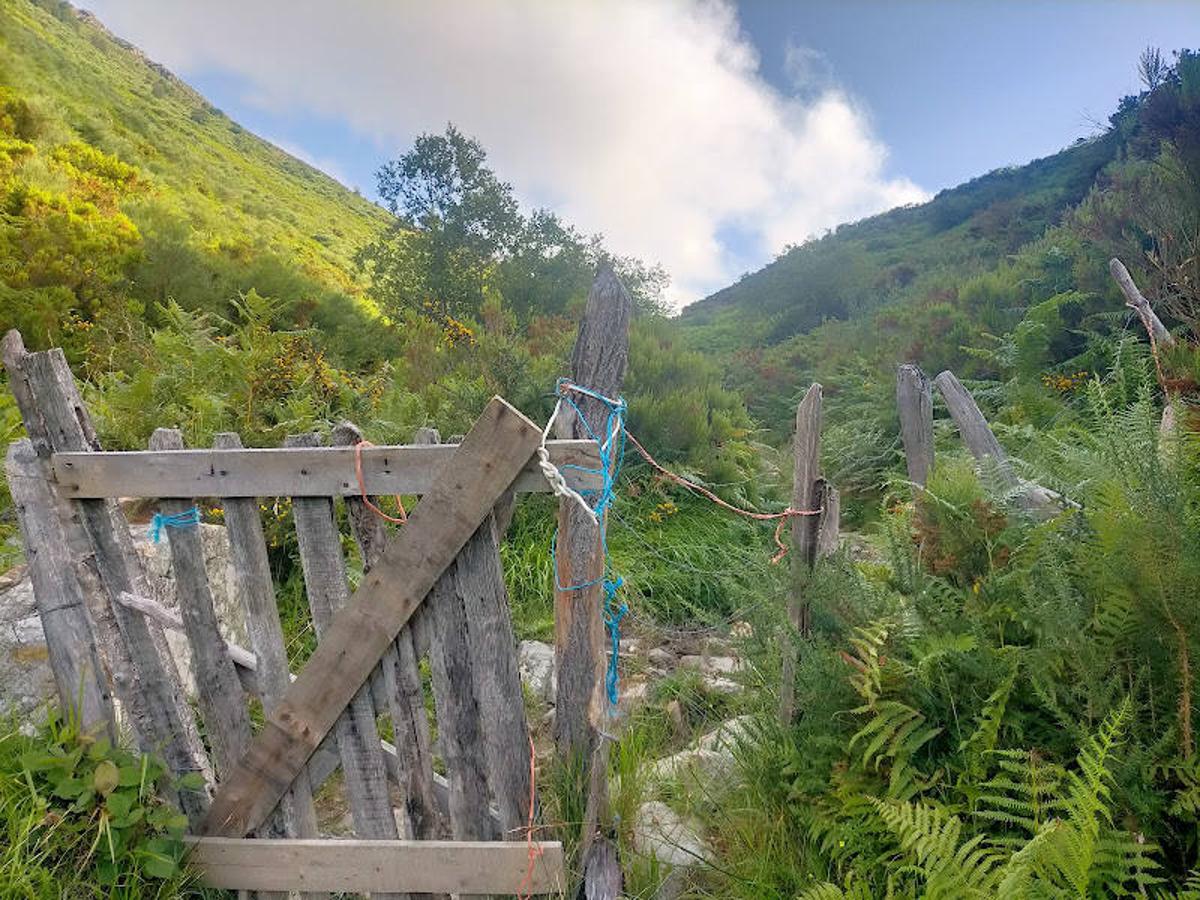 Fotos: Ruta de las Brañas de Felechosa