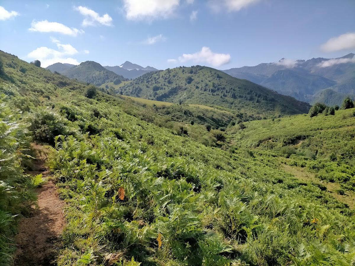 Fotos: Ruta de las Brañas de Felechosa