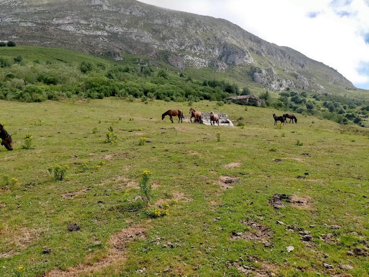 Fotos: Ruta de las Brañas de Felechosa