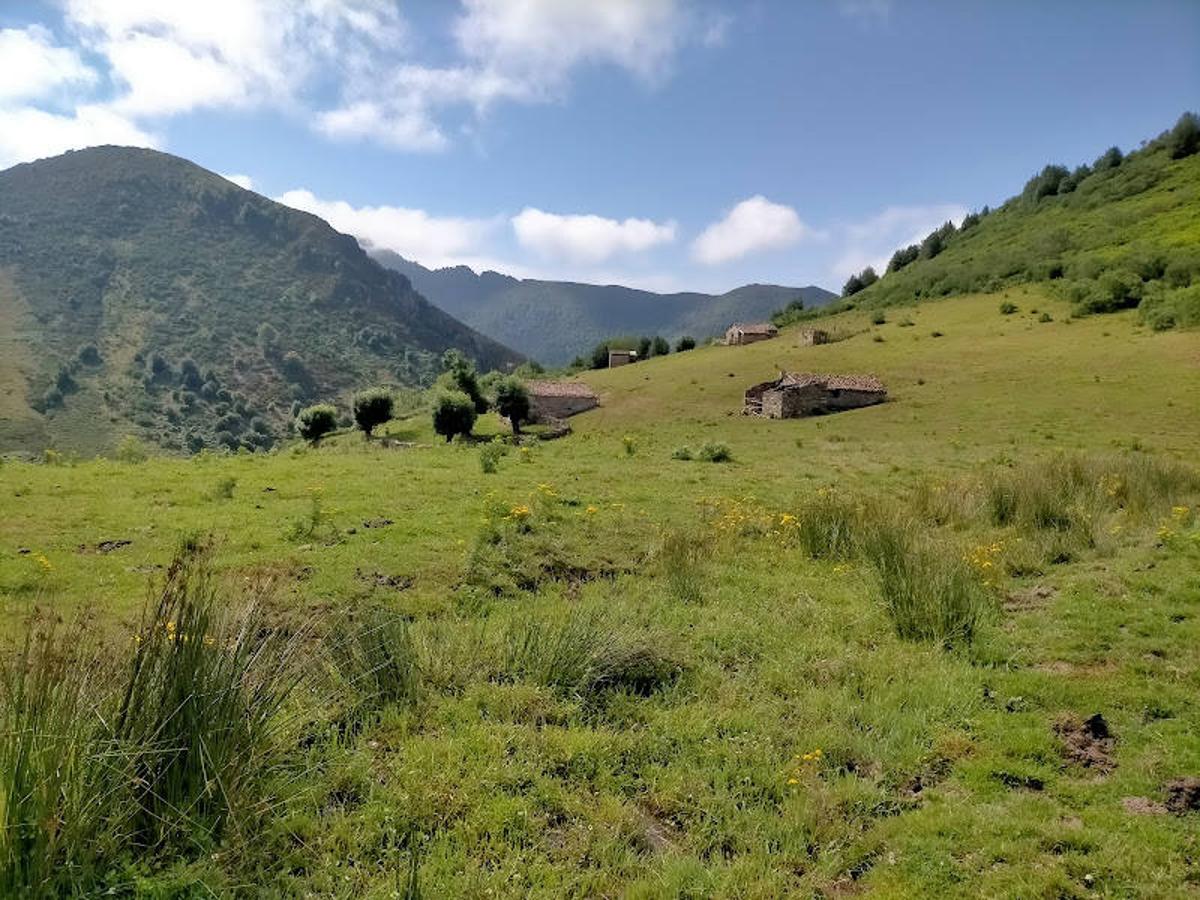 Fotos: Ruta de las Brañas de Felechosa