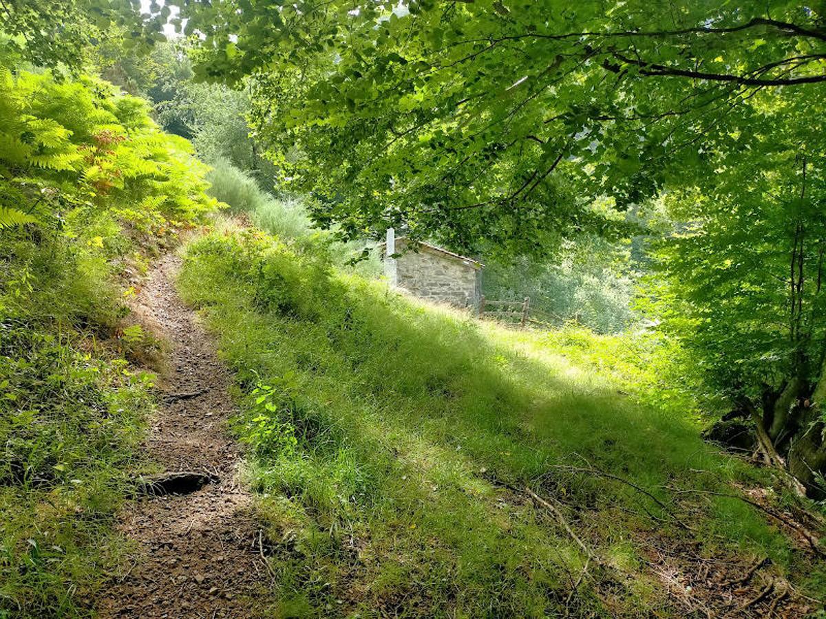 Fotos: Ruta de las Brañas de Felechosa