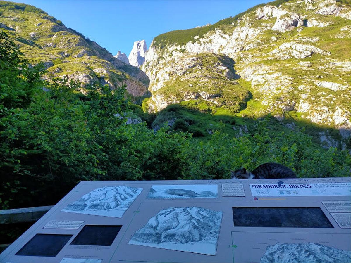 Vistas desde el mirador de Bulnes. 