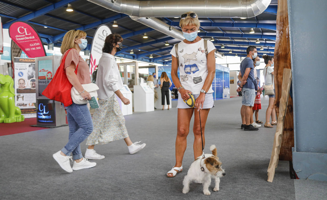 La primera jornada de la Feria de Muestras del Principado de Asturias (Fidma) ha arrancado con largas colas en el acceso al recinto y estrictas medidas de seguridad frente a la covid. Una vez dentro, los visitantes han podido disfrutar de todos los estands que se exponen en el recinto Luis Adaro, que en esta ocasión ha visto su aforo simultaneo reducido al 50 % para evitar aglomeraciones 