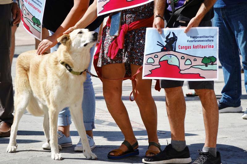 Más de cien vecinos se concentraron frente al consistorio de la localidad para protestar contra el evento taurino que está previsto que se celebre en unos días. Ha sido después de recoger más de 1.500 firmas contra el evento. El Ayuntamiento celebrará el martes una comisión sobre el asunto.