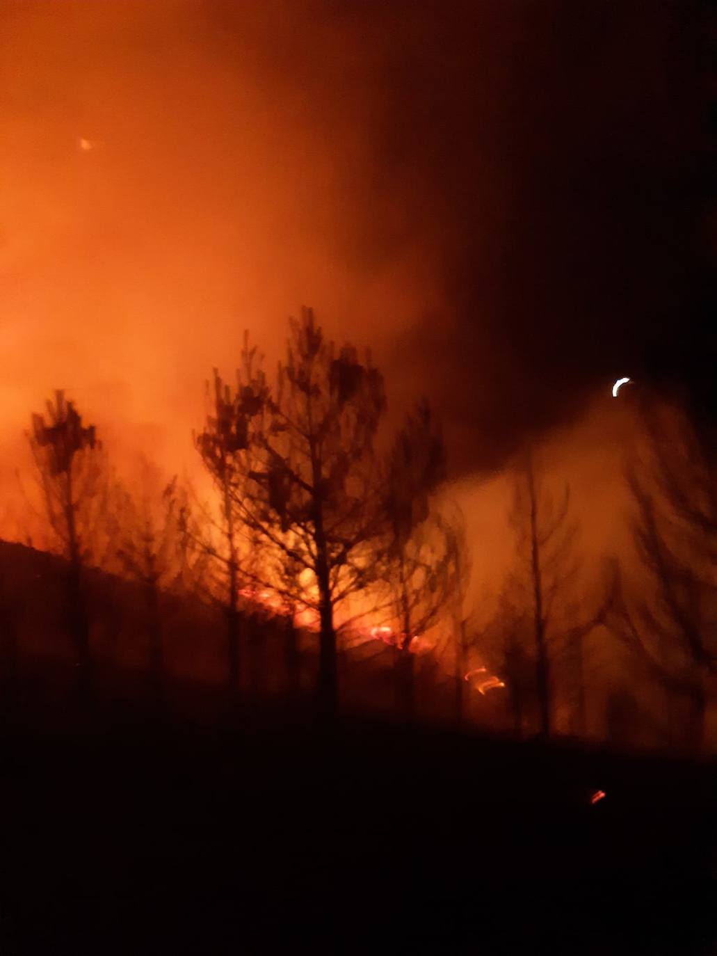Activa el protocolo ante el fuego de Andeo, en el que intervienen personal de Guardería, bomberos y la BRIF de Tineo.