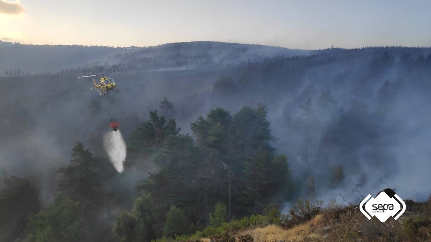 Activa el protocolo ante el fuego de Andeo, en el que intervienen personal de Guardería, bomberos y la BRIF de Tineo.
