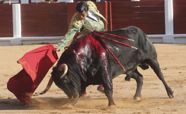 «Los toros se llama como su madre, como su abuela... Y así 40 años atrás»