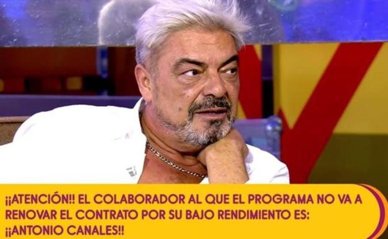 Captura de la emisión en directo del programa de este miércoles, en el que Mediaset anunciaba en directo el despido del colaborador.