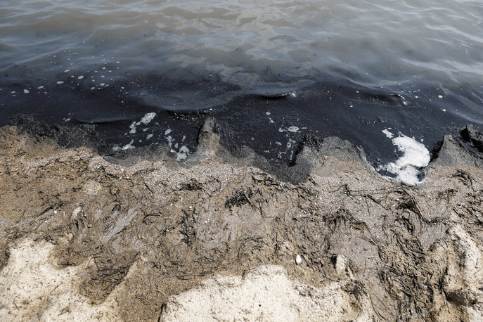 Los episodios de muertes masivas de peces delatan la degradación ecológica de la laguna murciana. Agentes del Seprona de la Guardia Civil han tomado muestras en varios puntos del Mar Menor donde han aparecido ejemplares de peces muertos desde el pasado lunes. El Gobierno regional, por su parte,mantiene un protocolo de vigilancia de agentes medioambientales en la zona sur de la laguna y realizan un control «permanente» en la zona