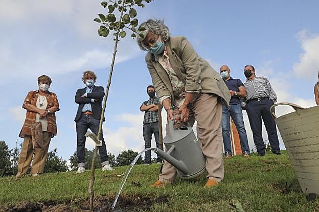 La alcaldesa de Gijón, Ana González, riega el manzano que acaba de plantar. 