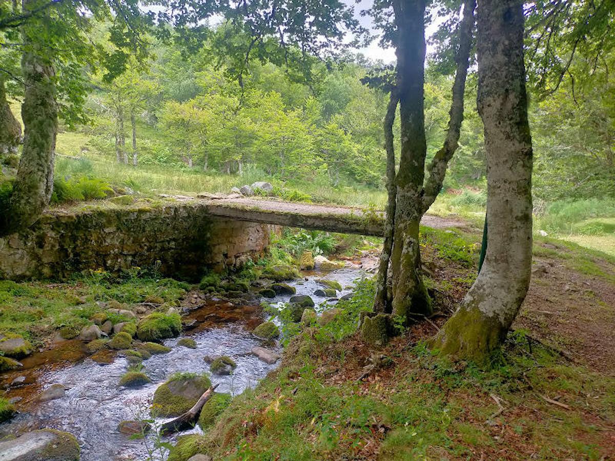 Fotos: Ruta desde Soto de Valdeón al Refugio de Vegabaño