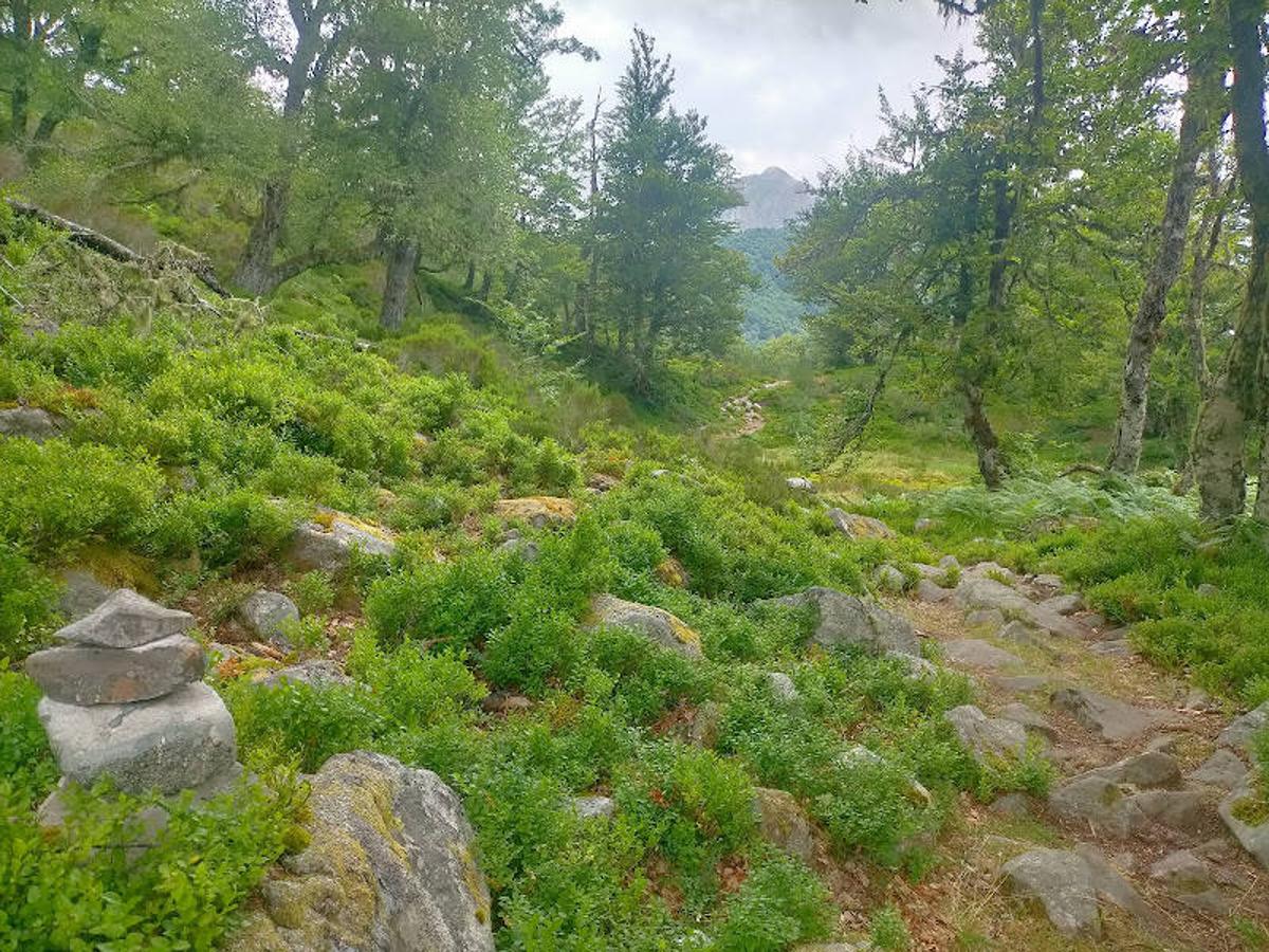 Fotos: Ruta desde Soto de Valdeón al Refugio de Vegabaño