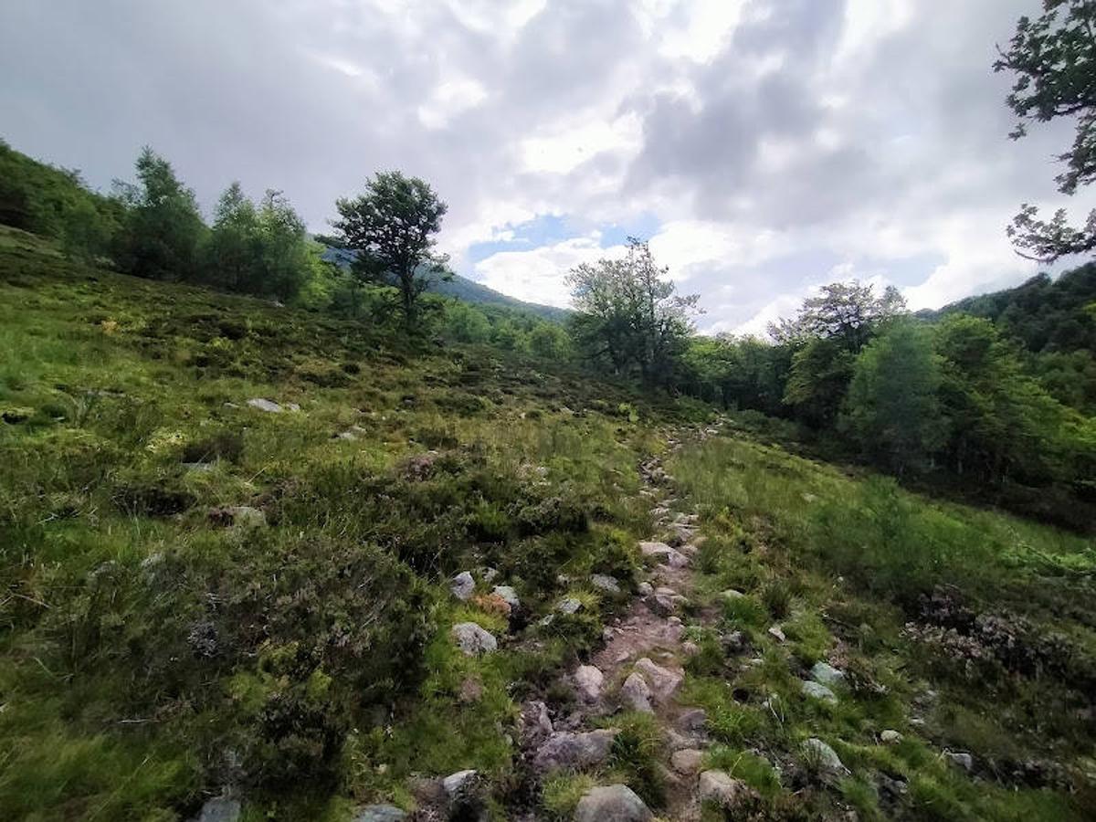 Fotos: Ruta desde Soto de Valdeón al Refugio de Vegabaño