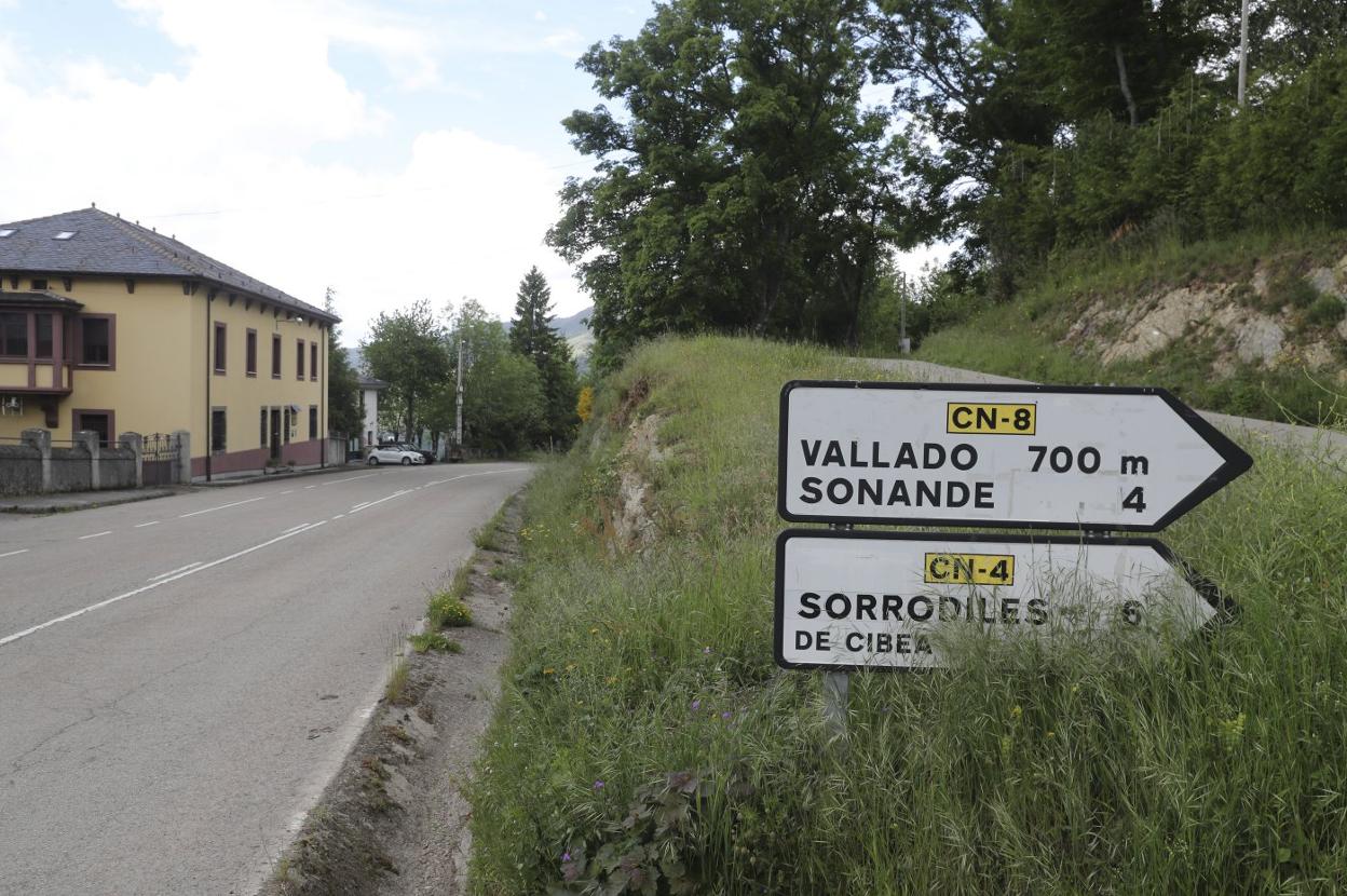 Carretera en la que tuvo lugar el suceso. 