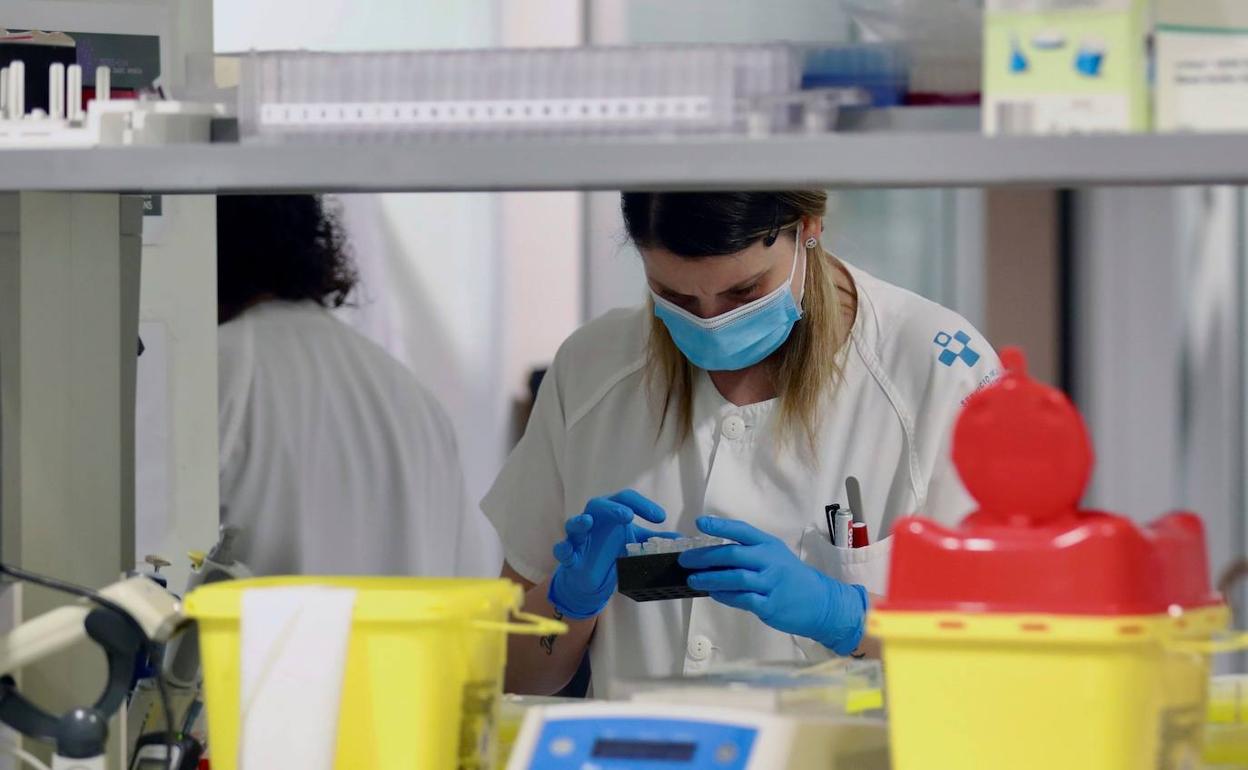 Un técnico sanitario trabaja en el laboratorio de virología del HUCA. 