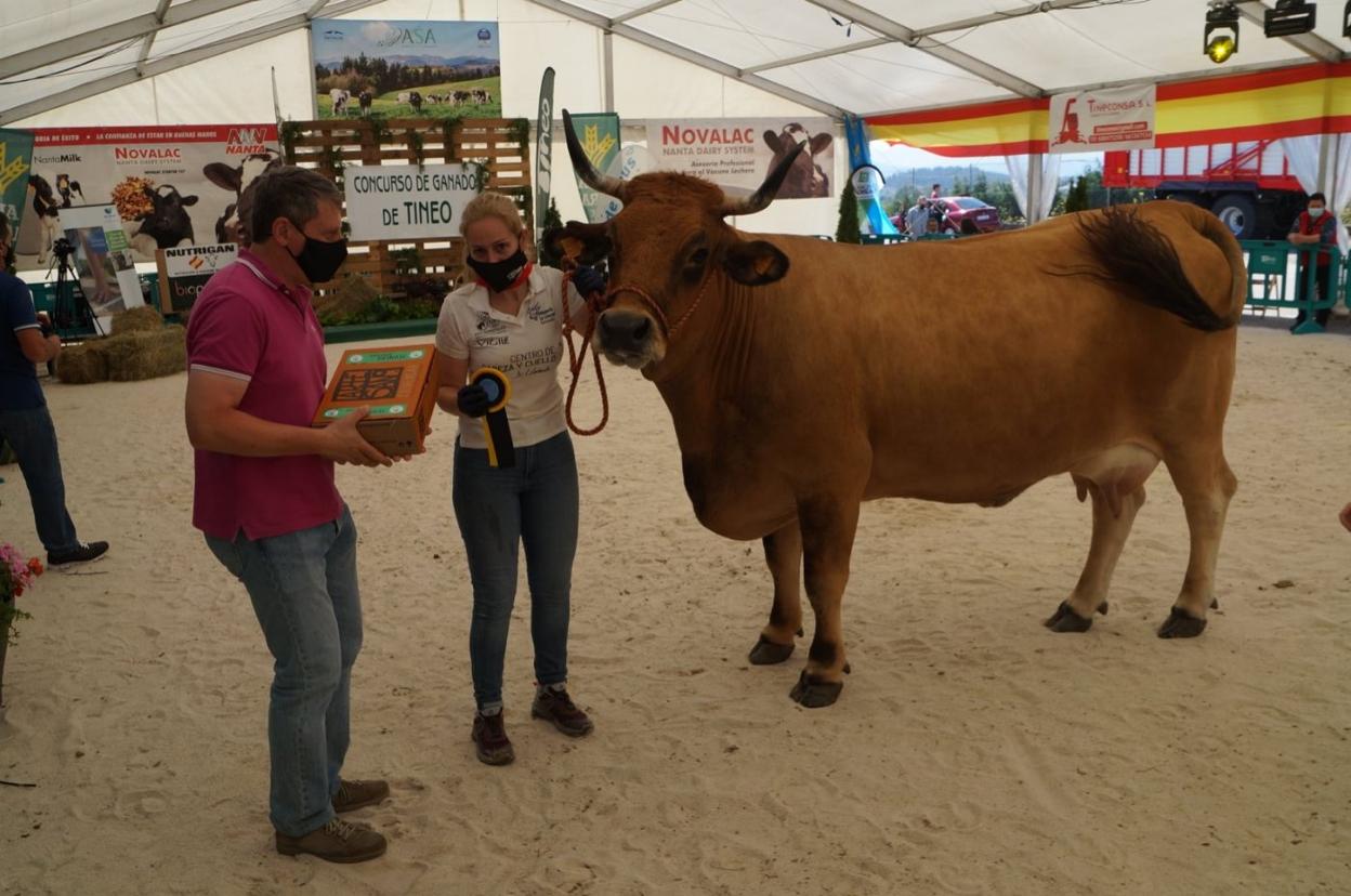 El alcalde, José Ramón Feito, entrega a la ganadería La Lláscara, de Sobrescobio, el premio por 'Xana', Gran Campeona de Vacas. 