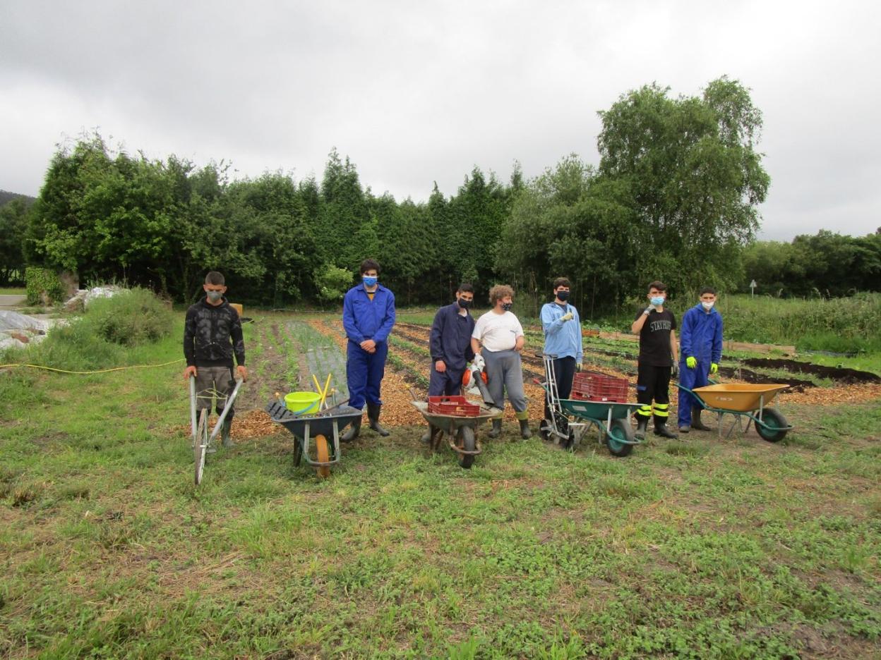 Varios alumnos trabajan en la finca El Cabillón, propiedad de la fundación. 