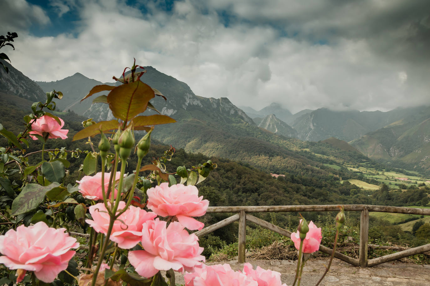 El Parque Natural de Redes cumple veinte años como Reserva de la Biosfera de la Unesco. Este título reconoce hecho de conciliar la conservación del patrimonio natural y cultural con el desarrollo sostenible de la población. 