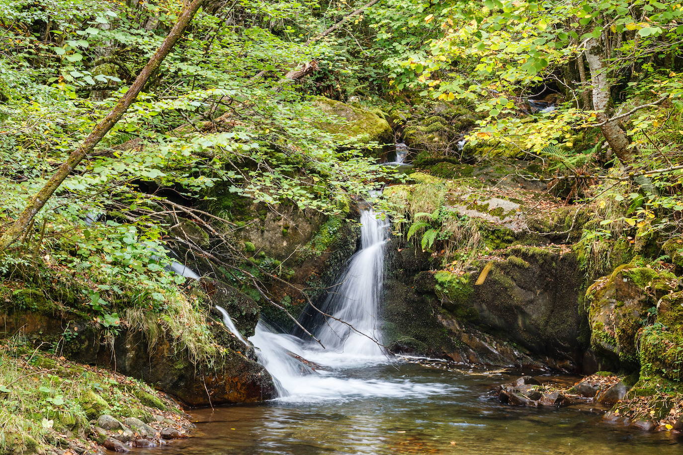 El Parque Natural de Redes cumple veinte años como Reserva de la Biosfera de la Unesco. Este título reconoce hecho de conciliar la conservación del patrimonio natural y cultural con el desarrollo sostenible de la población. 