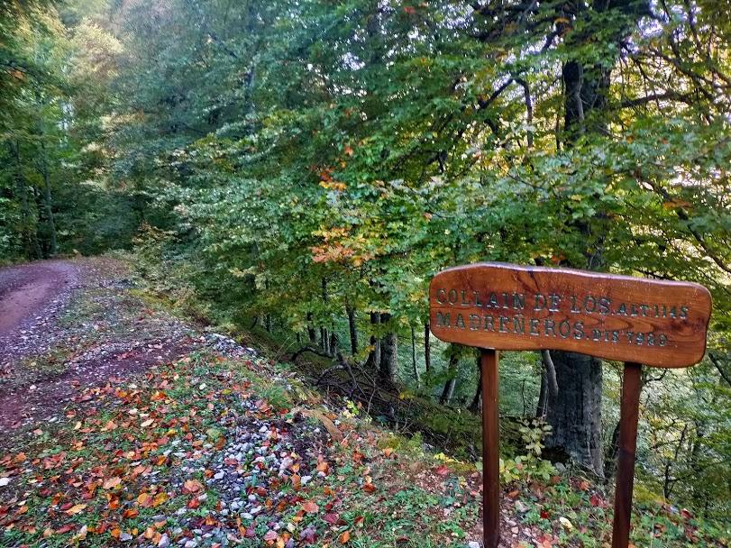 El Parque Natural de Redes cumple veinte años como Reserva de la Biosfera de la Unesco. Este título reconoce hecho de conciliar la conservación del patrimonio natural y cultural con el desarrollo sostenible de la población. 