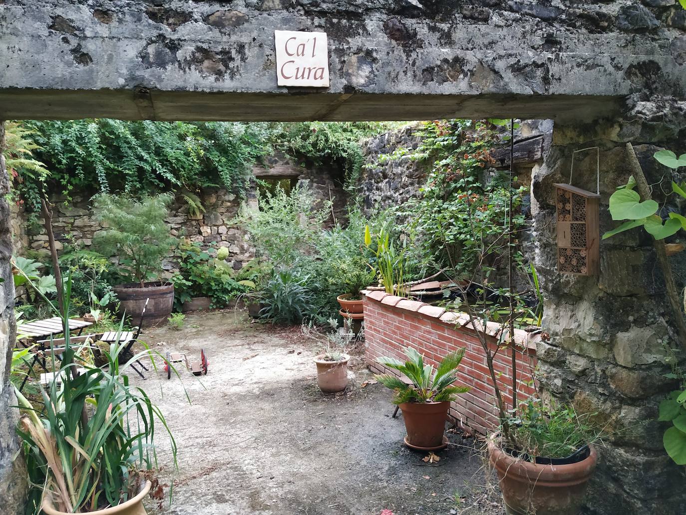 Miguel Llana Valdés, propietario de la finca La Viesca 'l Rexidor, en Llamas, ha creado un jardín botánico en su hogar que cuenta con alrededor de mil ejemplares arbóreos (más de 150 tipos), arbustivos y florales. 