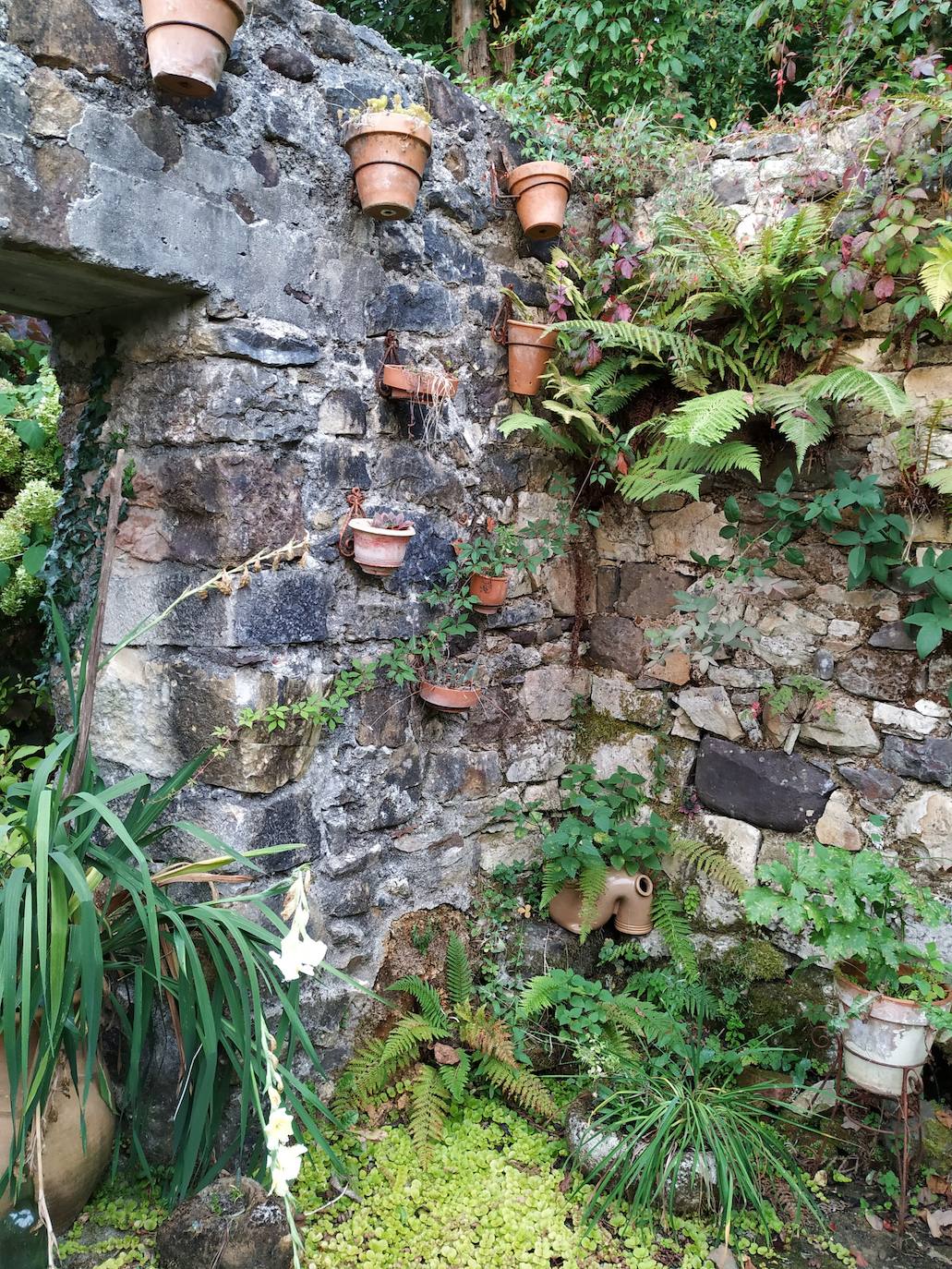 Miguel Llana Valdés, propietario de la finca La Viesca 'l Rexidor, en Llamas, ha creado un jardín botánico en su hogar que cuenta con alrededor de mil ejemplares arbóreos (más de 150 tipos), arbustivos y florales. 