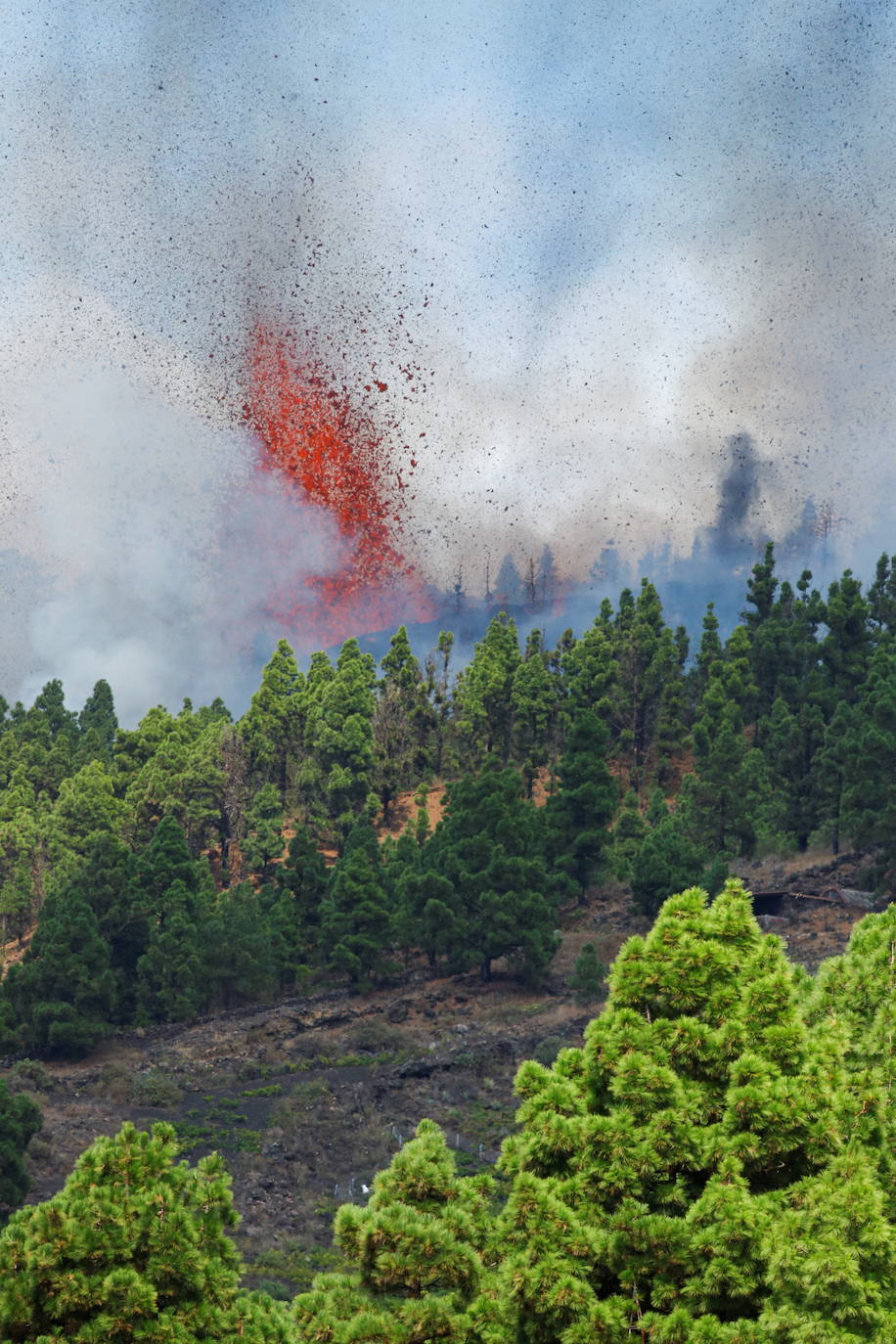 Una erupción volcánica ha comenzado este domingo en los alrededores de Las Manchas, en El Paso (La Palma), después de que el complejo de la Cumbre Vieja acumulara miles de terremotos en la última semana, conforme el magma iba presionando el subsuelo en su ascenso. Las autoridades habían comenzado horas antes evacuar a las personas con problemas de movilidad en cuatro municipios.