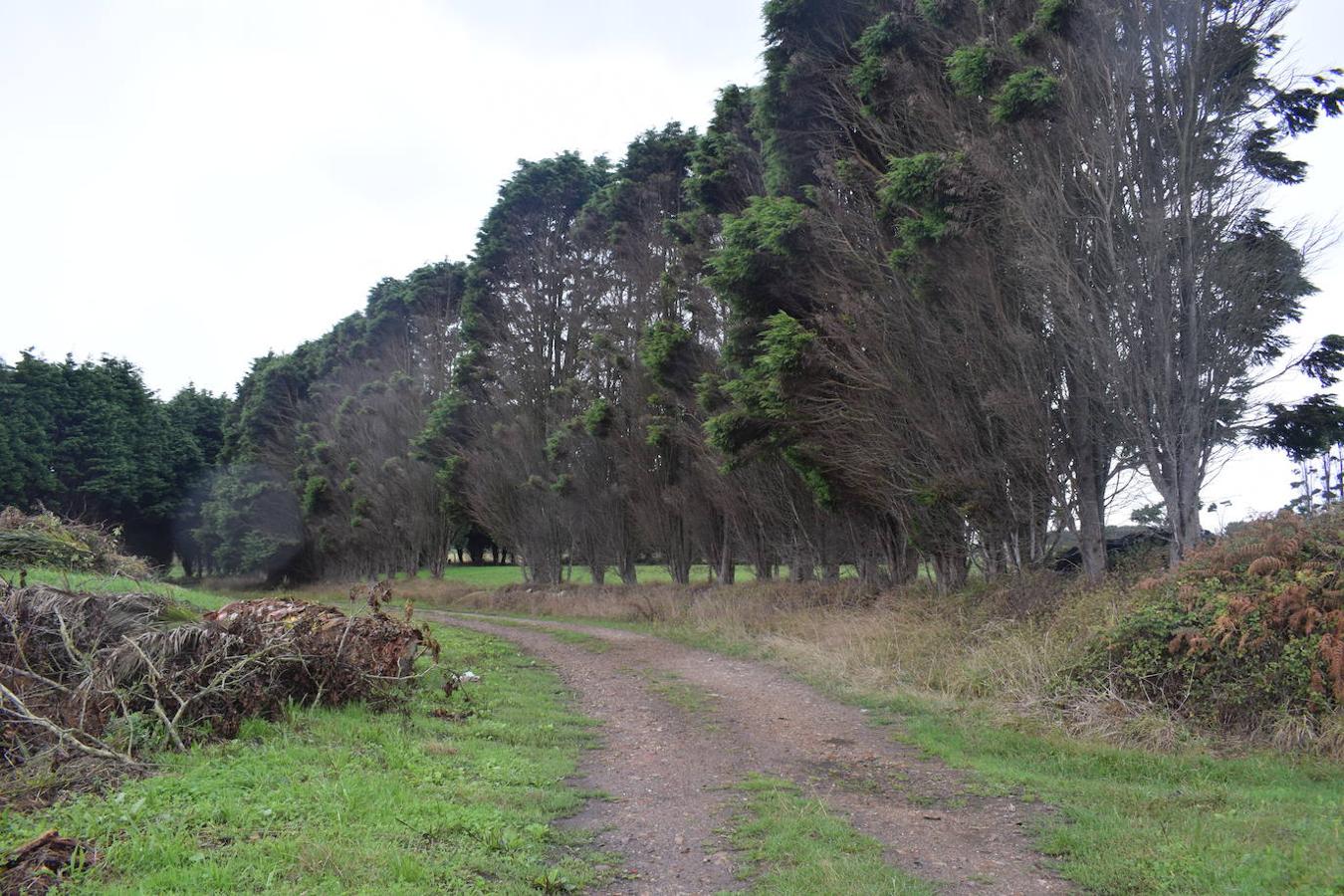 Fotos: Senda costera por el Cabo Busto