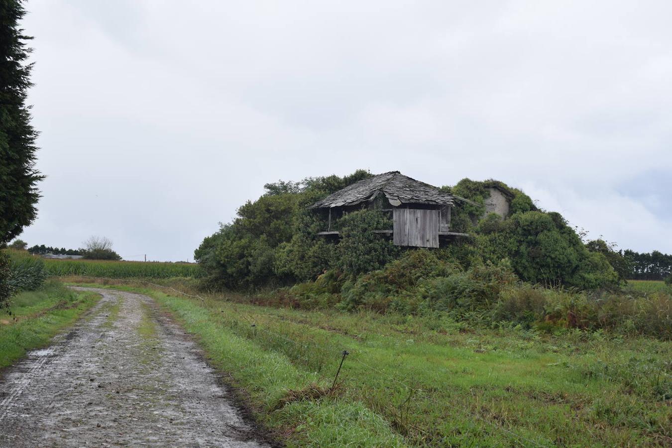 Fotos: Senda costera por el Cabo Busto