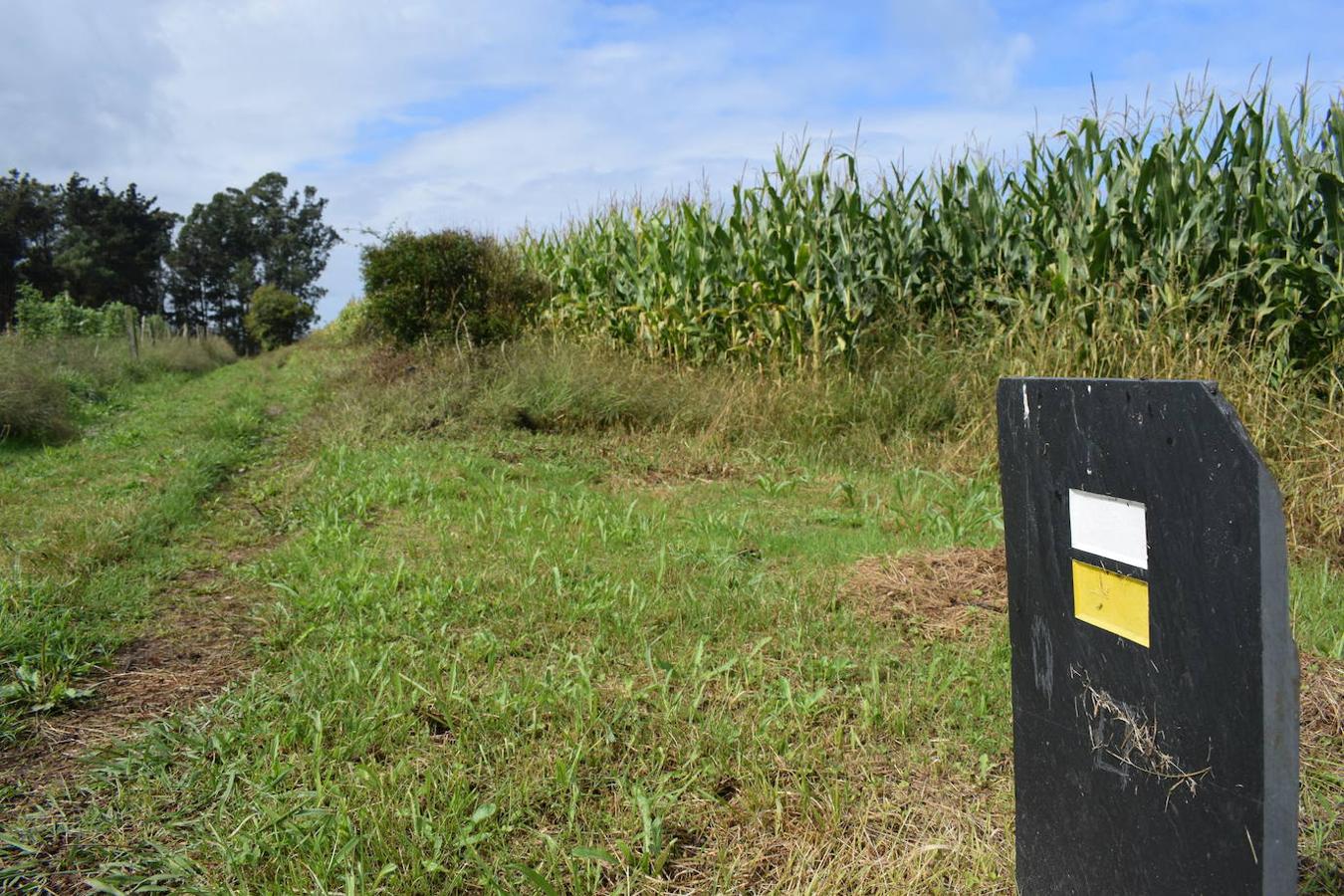 Fotos: Senda costera por el Cabo Busto