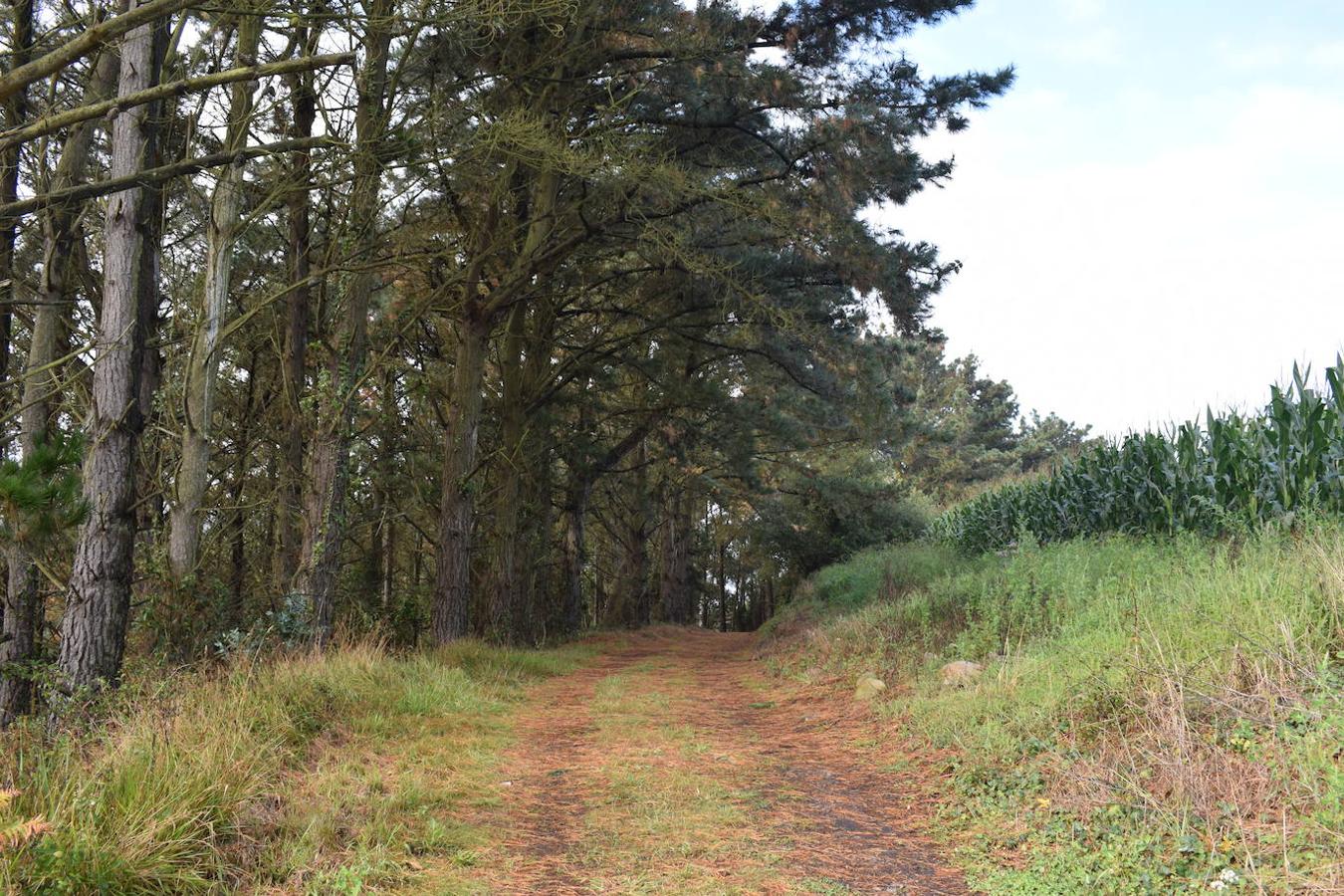 Fotos: Senda costera por el Cabo Busto