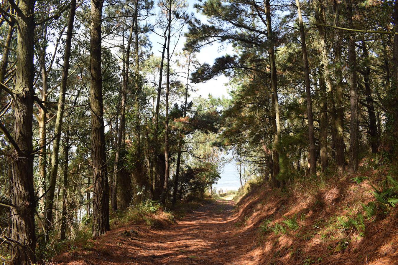 Fotos: Senda costera por el Cabo Busto