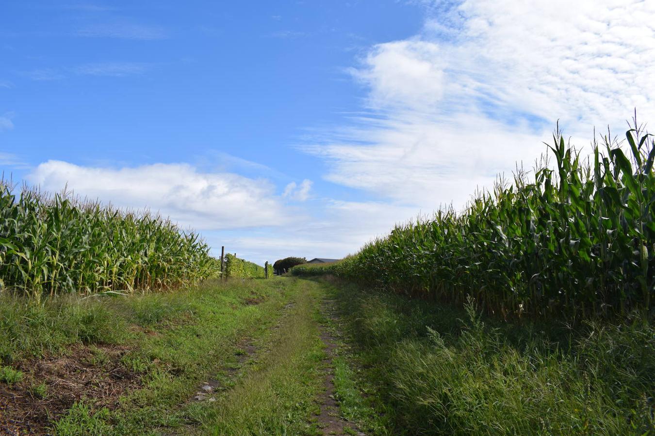 Fotos: Senda costera por el Cabo Busto