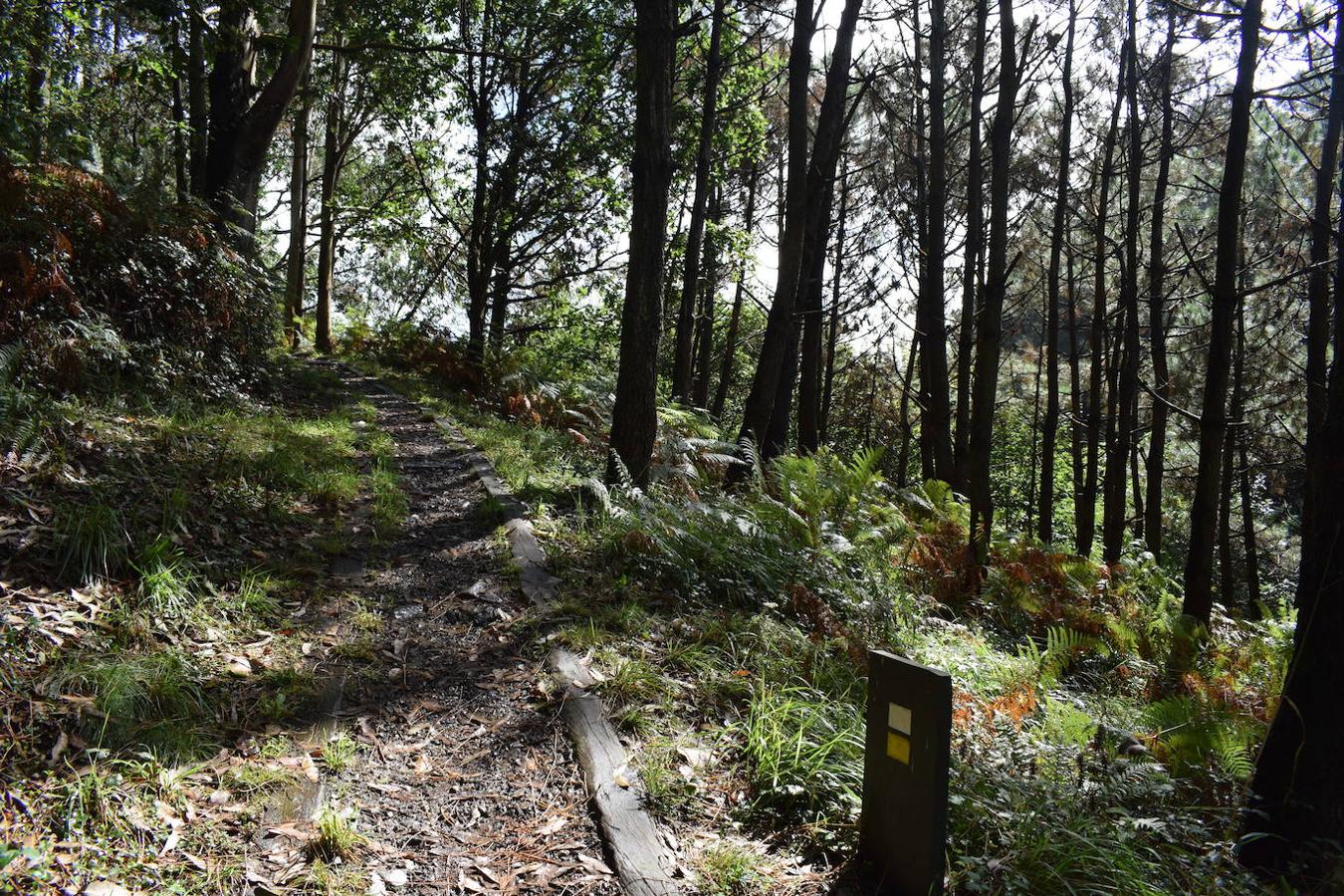 Fotos: Senda costera por el Cabo Busto